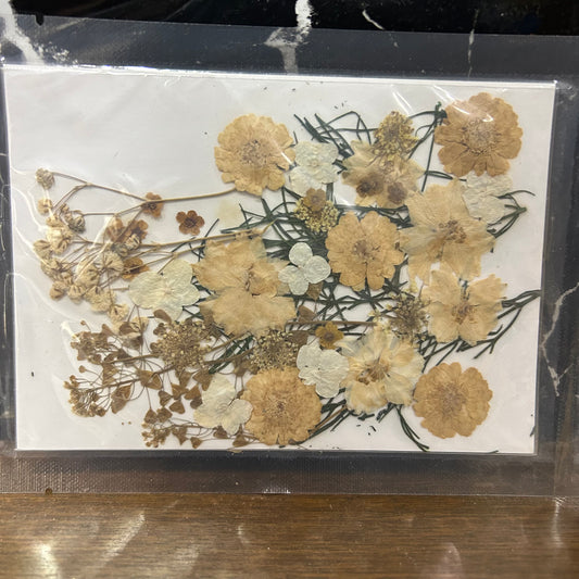 Pressed Flower - beige & white