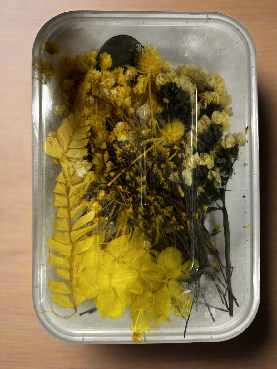 Dried Flowers Box - Yellow